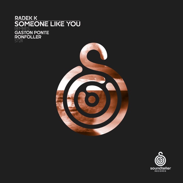 Someone Like You - Single