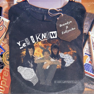 Yea I Know (feat. Zellyocho) - Single