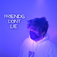Friends Don't Lie - Single - Ardin