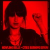 Danton Eeprom Cities Burning Down (Danton Eeprom Remix) Cities Burning Down EP