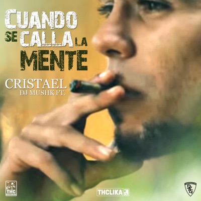 Cuando Se Calla la Mente (feat. Cristael) - Single