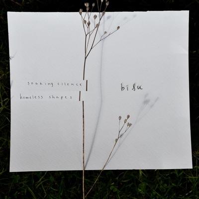 Soaking Silence  Homeless Shapes - Single