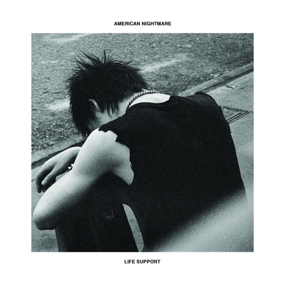 Cover artwork for Life Support