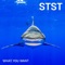 What You Want - Stst lyrics