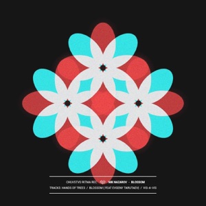 Blossom - Single