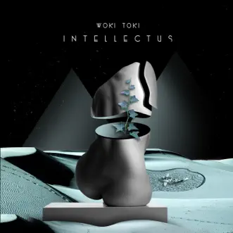 Intellectus - Single by Woki Toki album reviews, ratings, credits