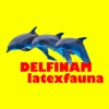 Delfinam - Single