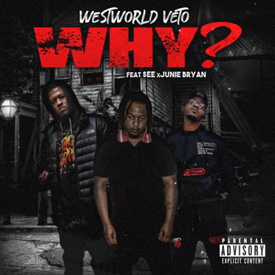 Why? (feat. $ee & Junie Bryan) - Single