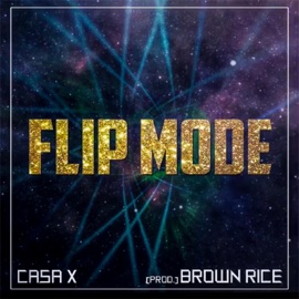 Flip Mode Casa X