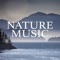 Mizzle - Nature Sounds Nature Music lyrics