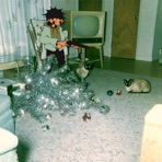 Not a Christmas Song - Single