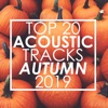 Top 20 Acoustic Tracks Autumn 2019 (Instrumental)