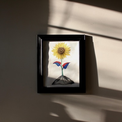 The Sunflower That Grew Out of Rock