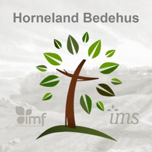 «Eg er vintreet, de er greinene» -- Henriette S Vyzantios -- Horneland bedehus