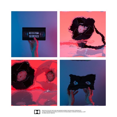 Fever Dream - Single