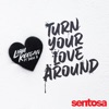 Turn Your Love Around (feat. Dani B) - Single