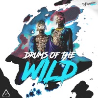 Drums of the Wild - Single - Saggian