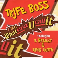 WhatEvaucallit - Single - Trife Boss