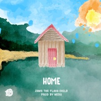 Home - Single - JAMS The Flava Child