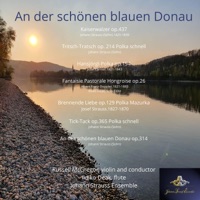 An der schönen blauen Donau - Johann Strauss Ensemble