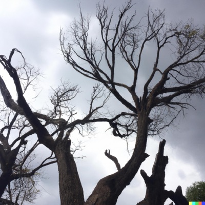 xerz - Wish It Never Mattered