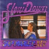 Slow Down (with H.E.R.) by Skip Marley iTunes Track 2