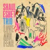 Shaul Eshet Trio: Love and Fear