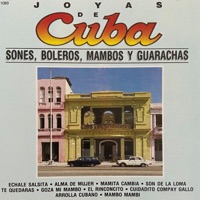 Mambo