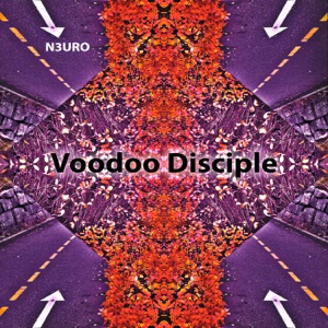 Voodoo Disciple