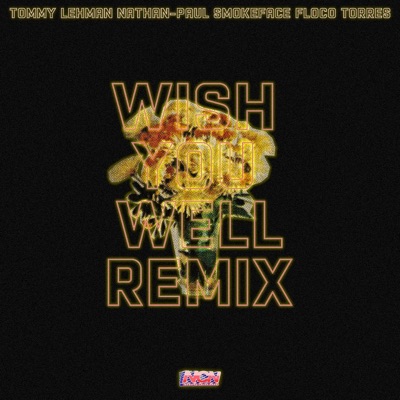 Wish You Well (Remix) [feat. Floco Torres] cover art