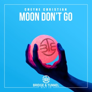 Moon Don't Go (Radio Mixes) - Single