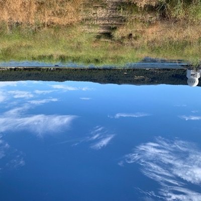 Animal Needs - Single