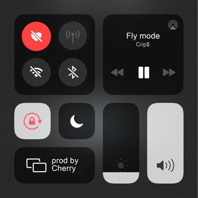Fly mode - Single