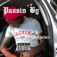 Passin' By - Single - Macprince