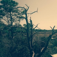 Flowers for Your Eulogy (feat. ScalpelBoyGhost) - Single - TwoFace SoSelfish