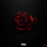 Control - Single - Shaker