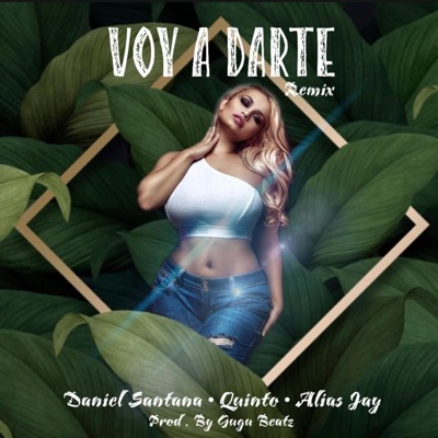 Voy a Darte (feat. Quinto & Alias Jay) [Remix] - Single