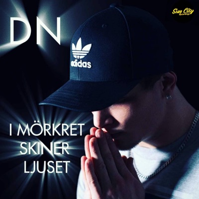 I MÖRKRET SKINER LJUSET