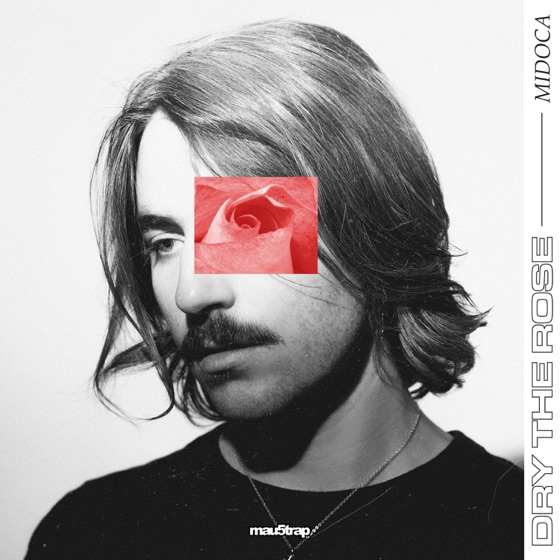 Cover artwork for Dry the Rose