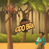 Odo Bra artwork