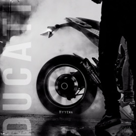 Ducati Hyyena