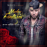 Noches de Fantasía - Single - Wally la Amenaza