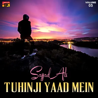 Tuhinji Yaad Mein, Vol. 5 - Sajjad Ali
