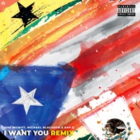 I Want You (Remix) [Remix] - Single - 5ive Mics, Michael Blackson & Kap G