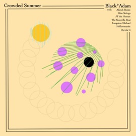 The Lonely Sun (feat. Kim Strings & the Guerrilla Beat) Black°Adam