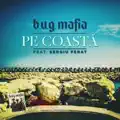 Pe coastă
