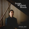 Steve Siu - Shallow (Lady Gaga and Bradley Cooper Piano Cover)
