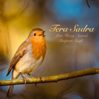 Tera Sadra (feat. Harry Anand) - Single - Shivpreet Singh