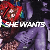 She Wants (feat. Sang2em & J.Star) - Single - K. Wrigs