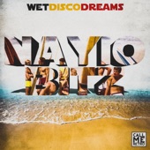 Wet Disco Dreams (Dub Mix) artwork